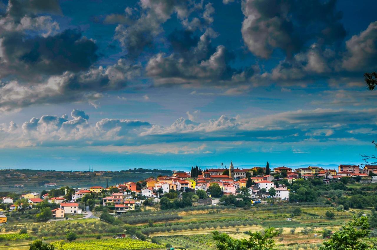 Wine & Apartment Vinales Koper Buitenkant foto